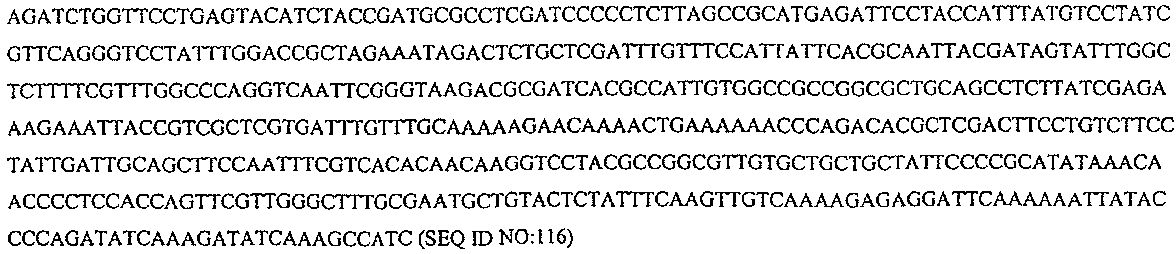 Figure 112006065182923-pct00027