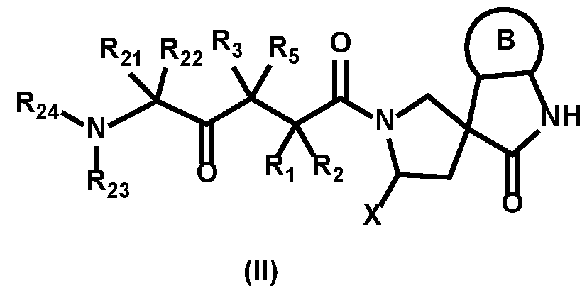 Figure imgf000009_0002
