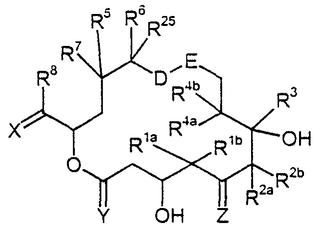 Figure imgf000006_0001