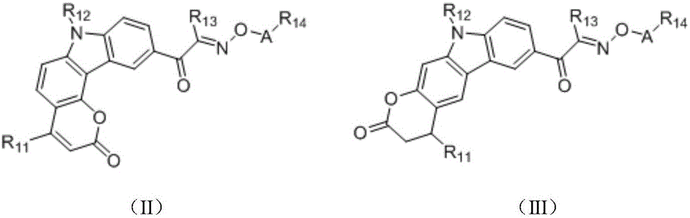 Figure FDA0001904547100000021