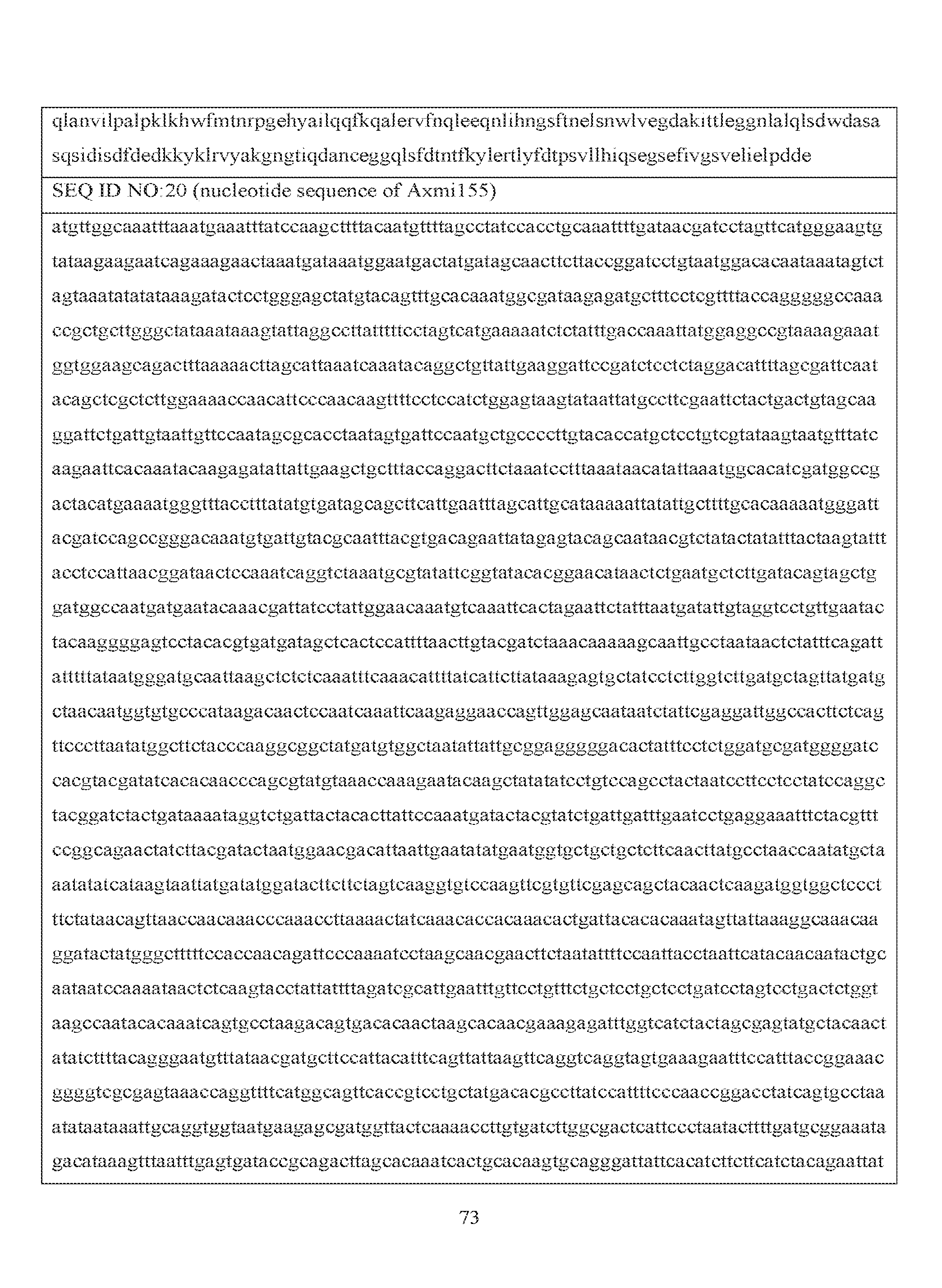 Figure imgf000075_0001