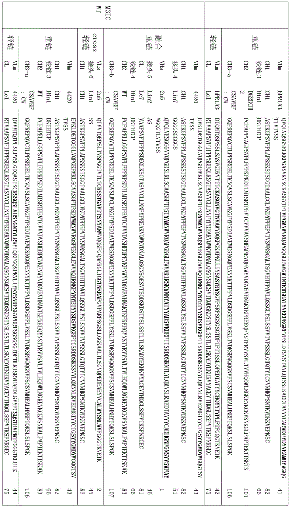 Figure BDA0002336612250001121