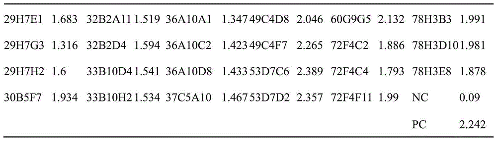 Figure BDA0002080313060000091