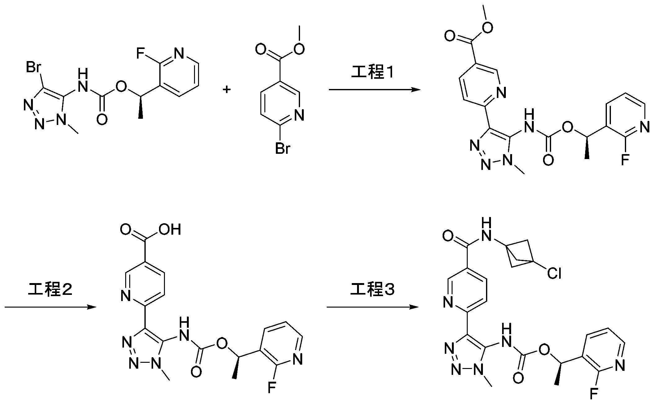 Figure 0007691522000061