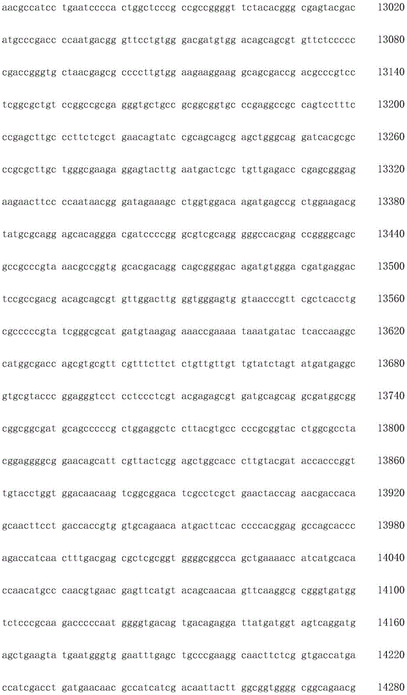 Figure IDA0002872168960001661