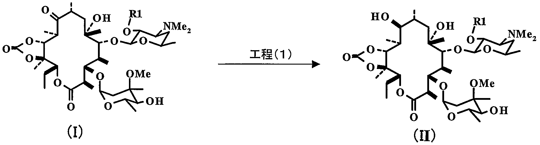 Figure imgf000006_0001