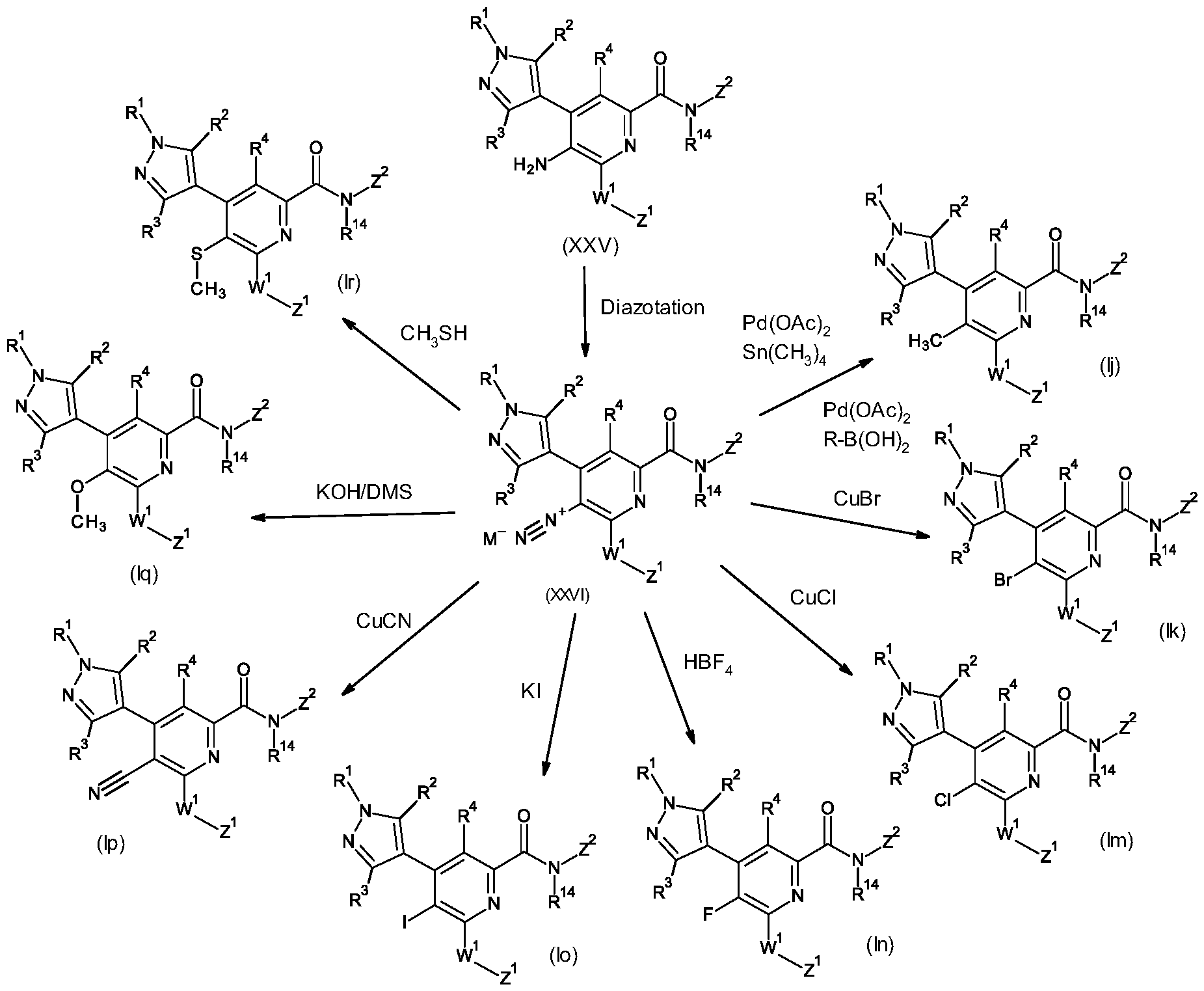 Figure imgf000053_0001