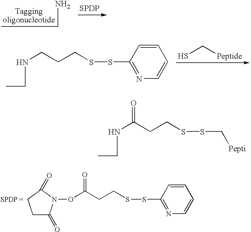 Figure US08722583-20140513-C00008