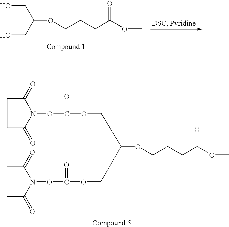 Figure US20100286355A1-20101111-C00039