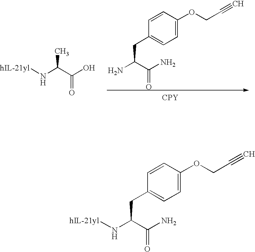 Figure US20090253864A1-20091008-C00015