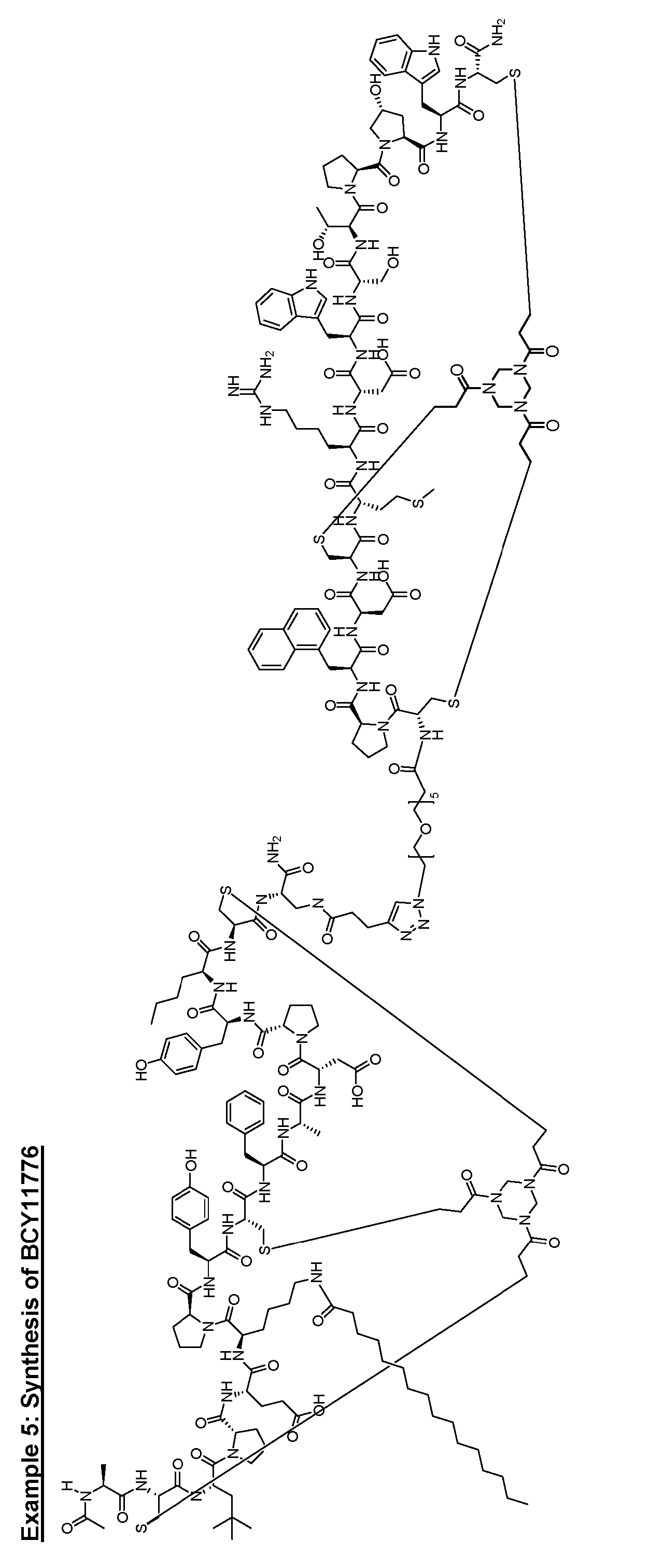 Figure imgf000054_0001