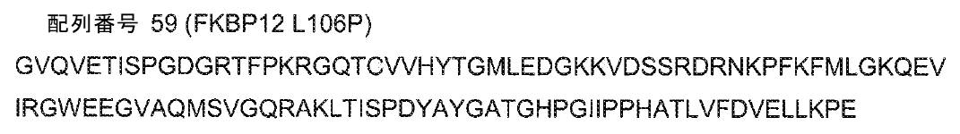 Figure 0007132249000024