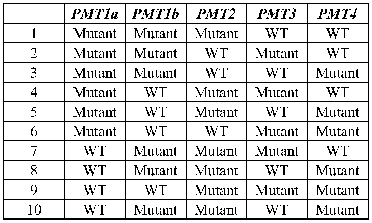 Figure imgf000106_0002