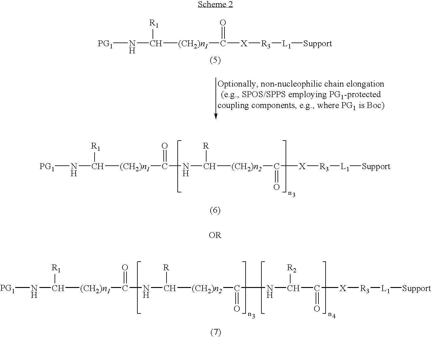 Figure US20060173159A1-20060803-C00006