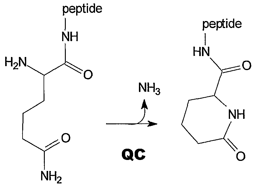 Figure imgf000008_0002