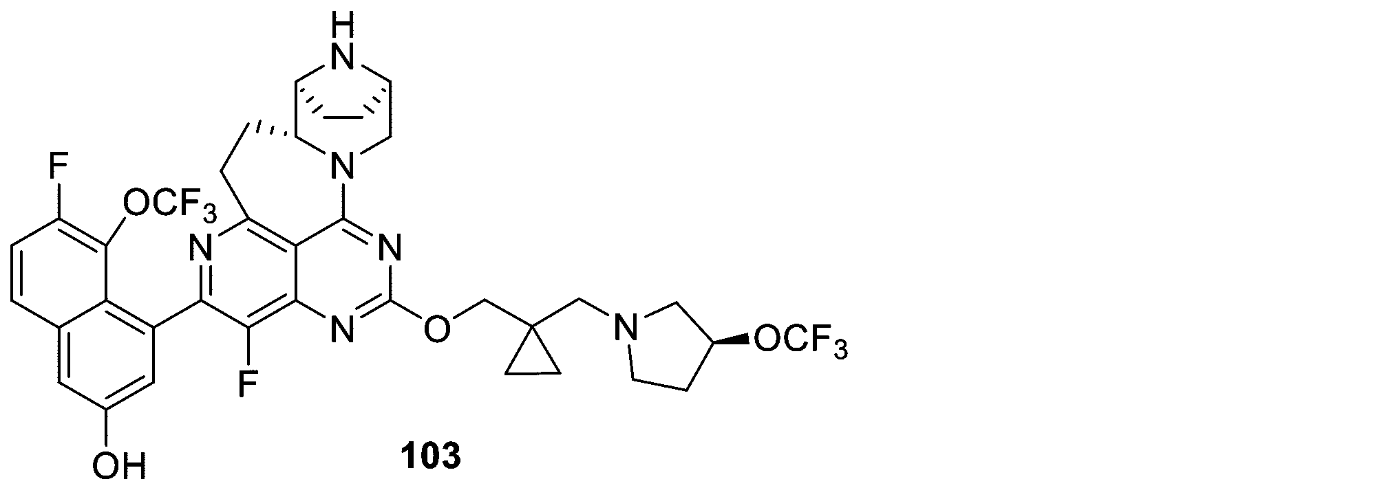 Figure 2025513258000761