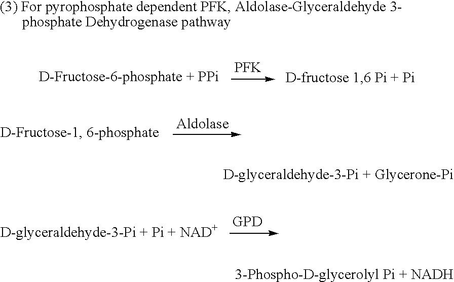 Figure US20060166236A1-20060727-C00005