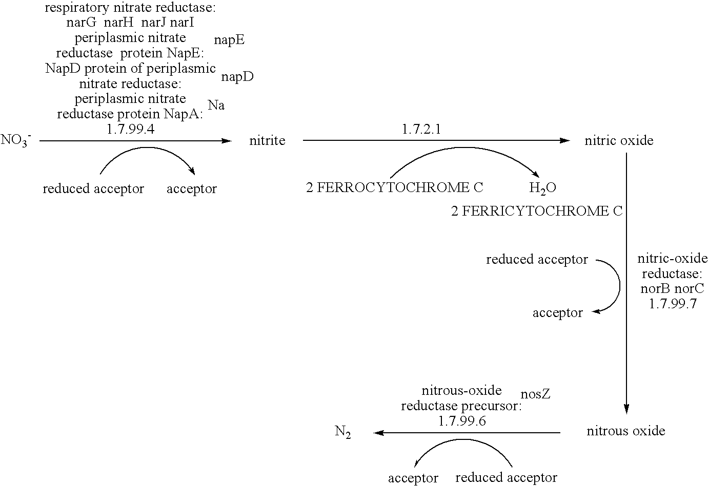 Figure US06945925-20050920-C00001
