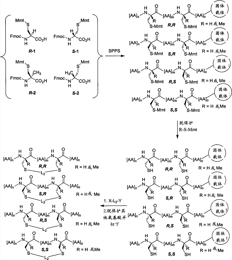 Figure BPA00001545839400491