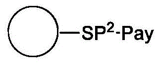 Figure BDA0003817518590000493