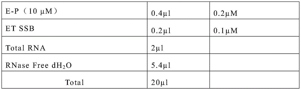 Figure BDA0002679263630000091