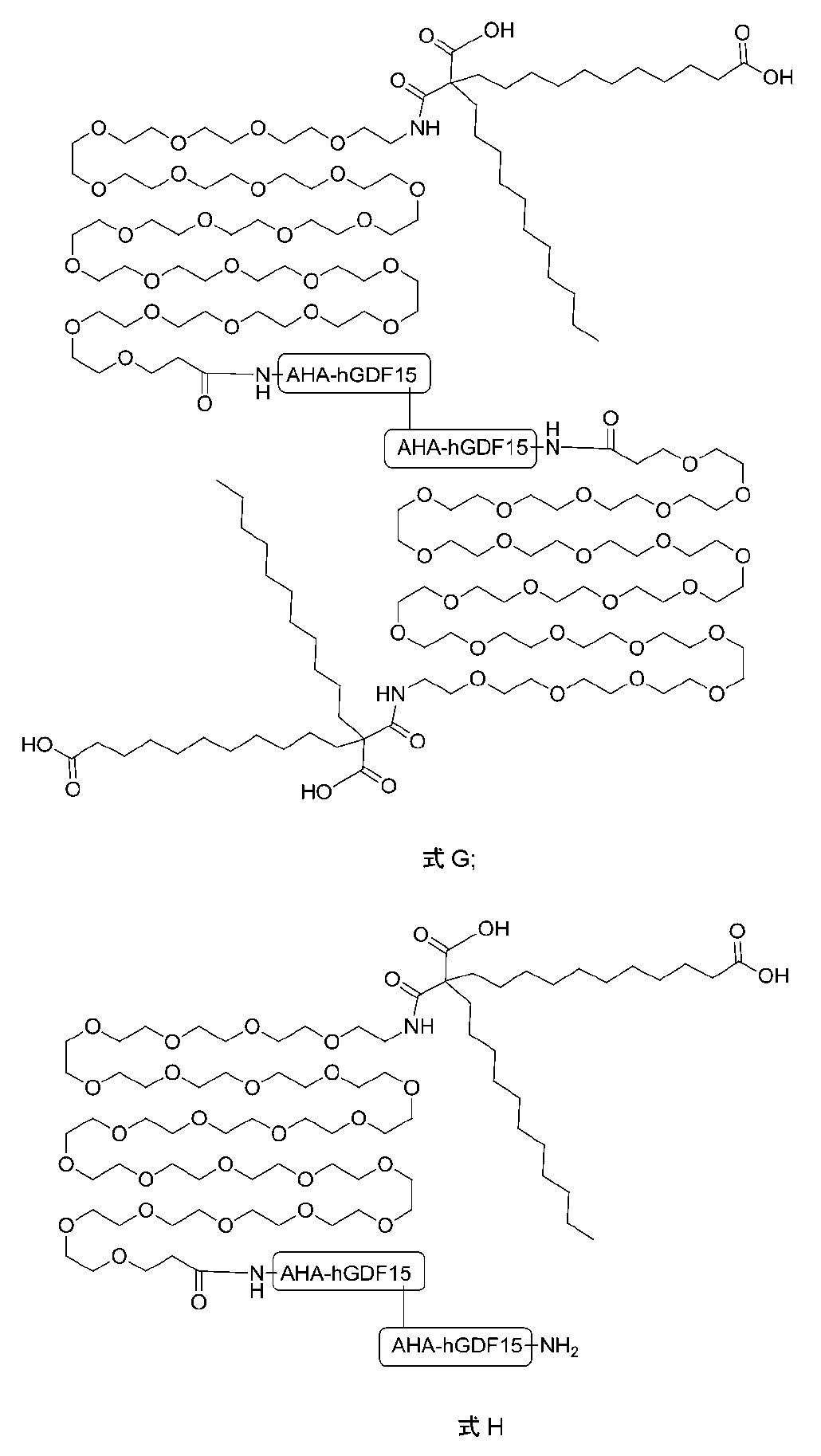 Figure 2022095757000212