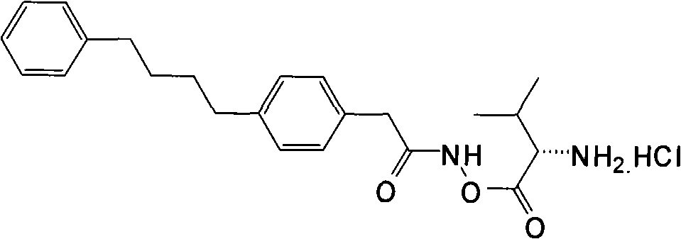 Figure G2007800515415D01291