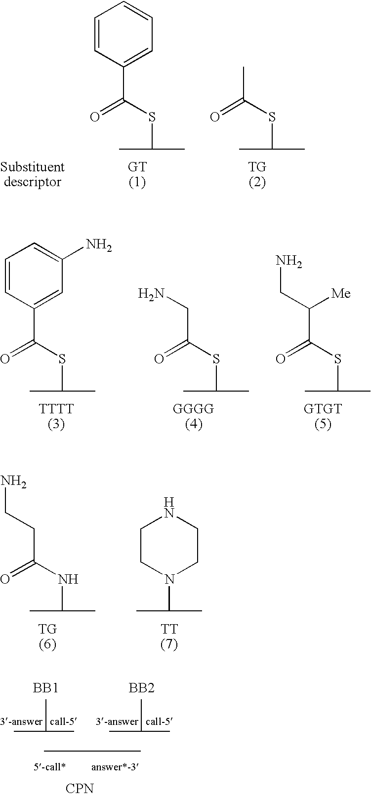 Figure US20080193983A1-20080814-C00014