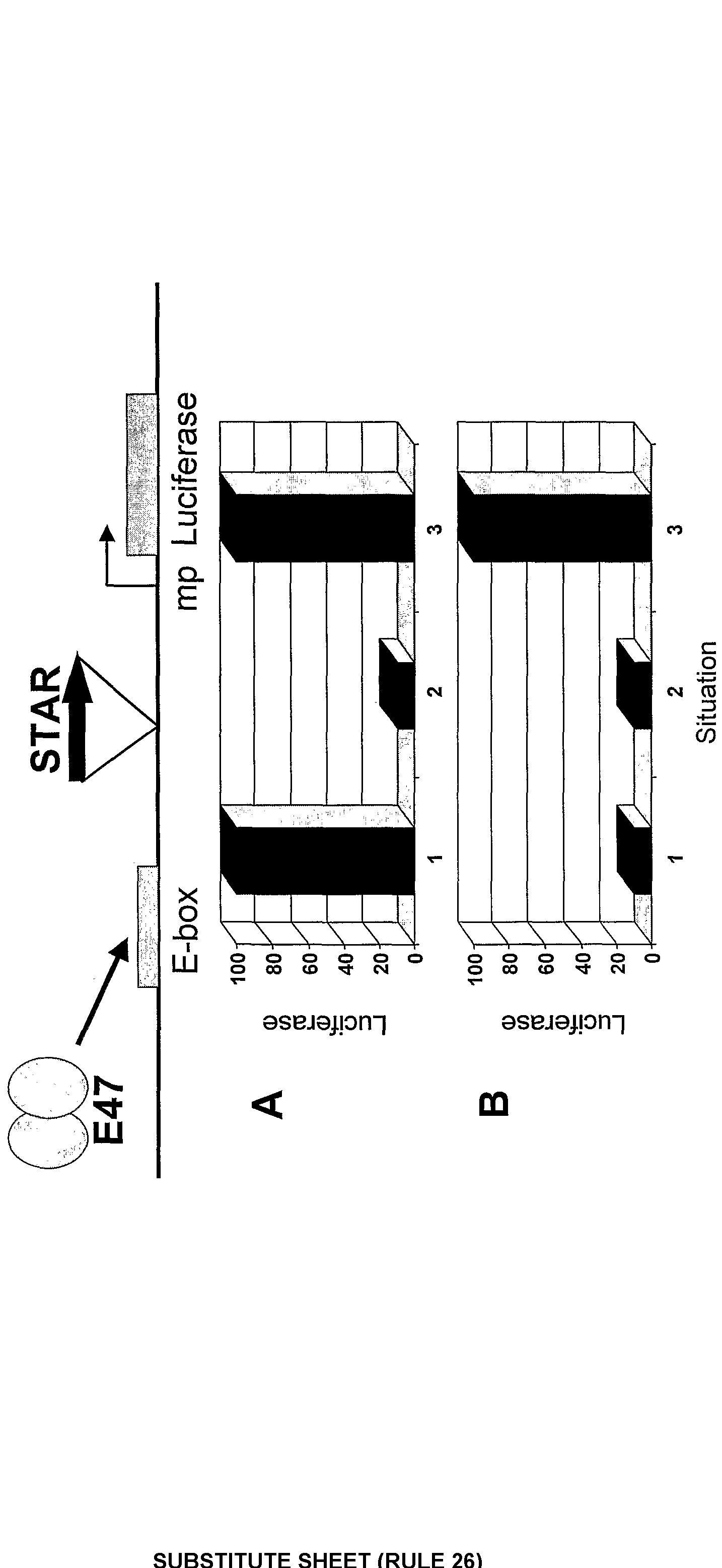 Figure imgf000170_0001