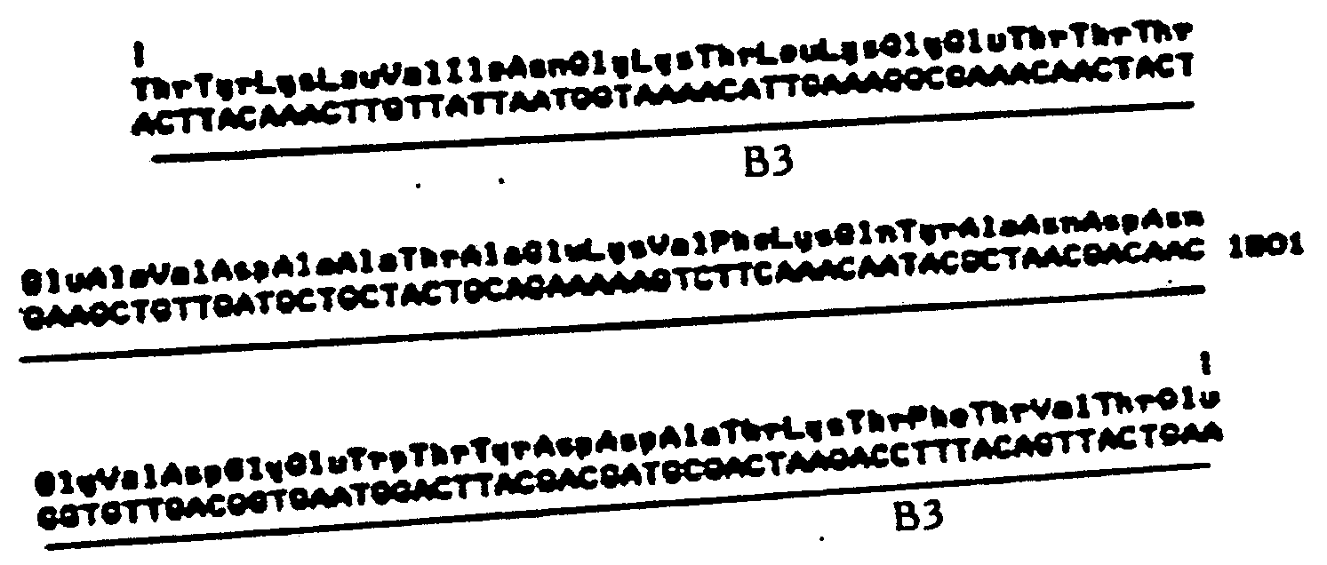 Figure imgf000051_0001