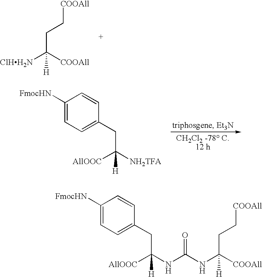 Figure US20090061010A1-20090305-C00020