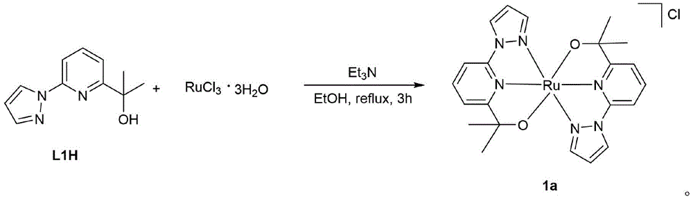 Figure FDA0002739835350000012