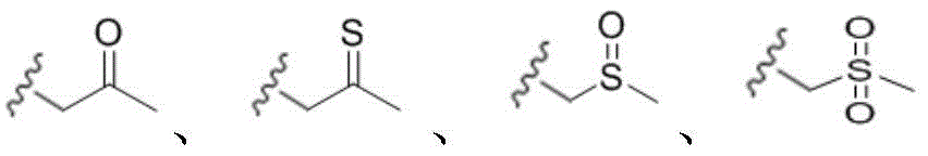 Figure BDA0002706503330000031