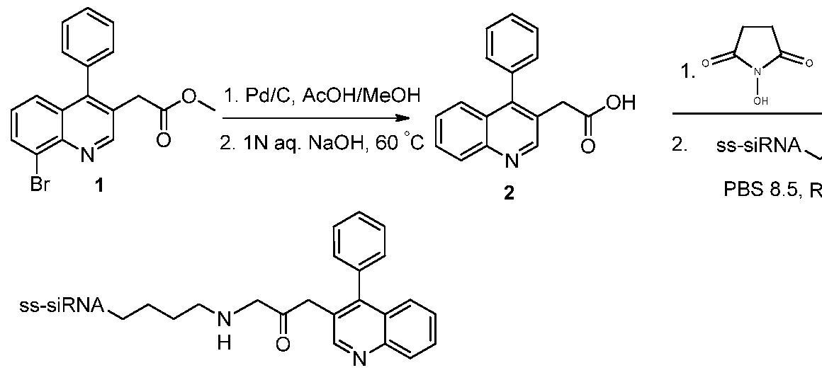 Figure imgf000210_0001