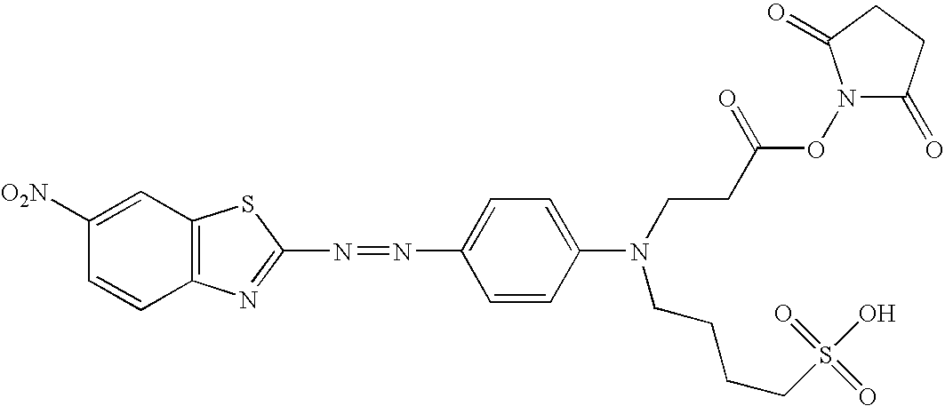 Figure US20100311184A1-20101209-C00029