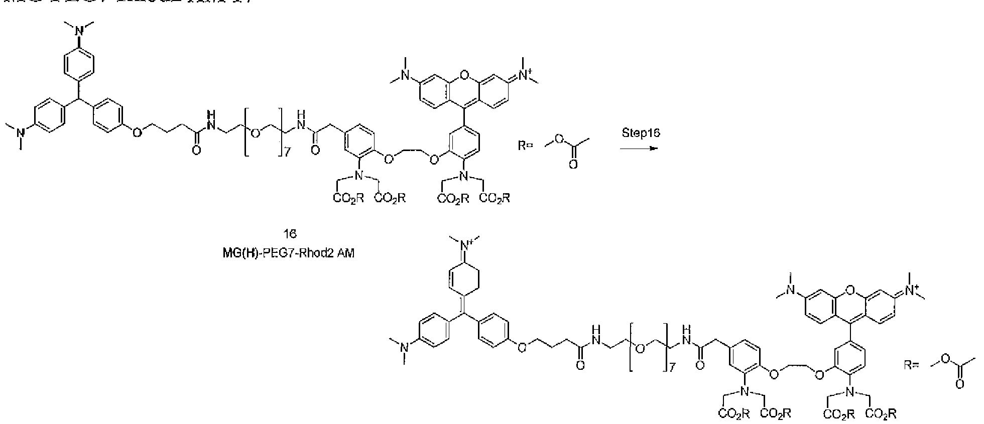 Figure imgf000063_0002