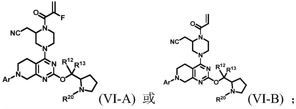 Figure BDA0002264194640000043
