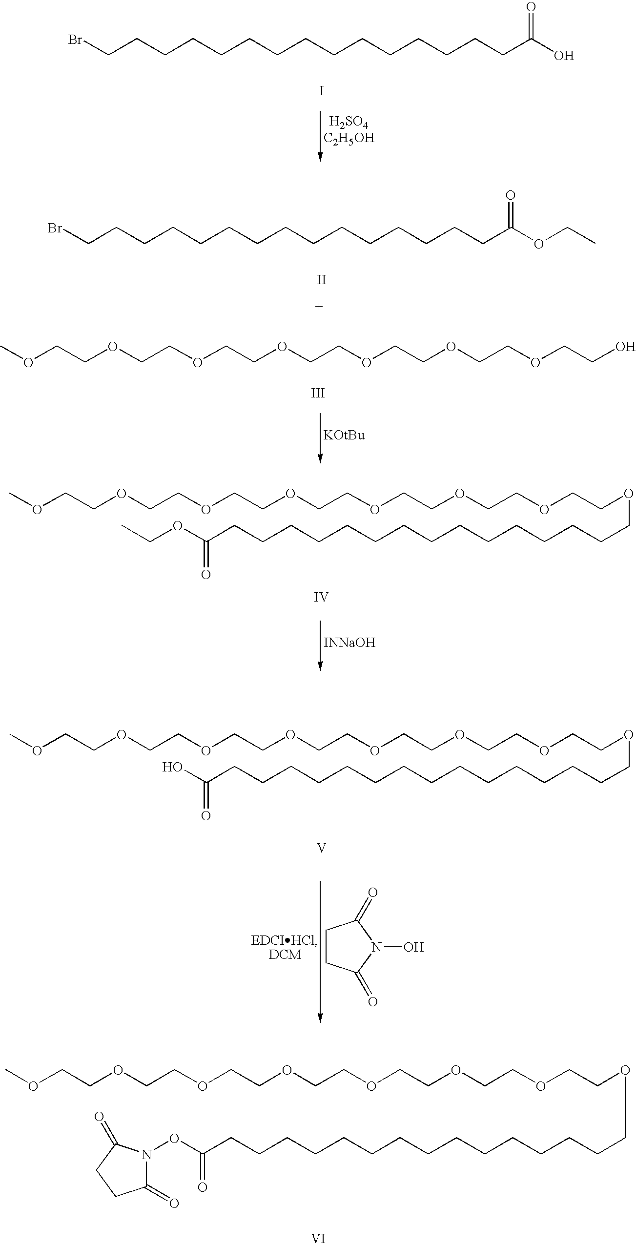 Figure US20080207505A1-20080828-C00036