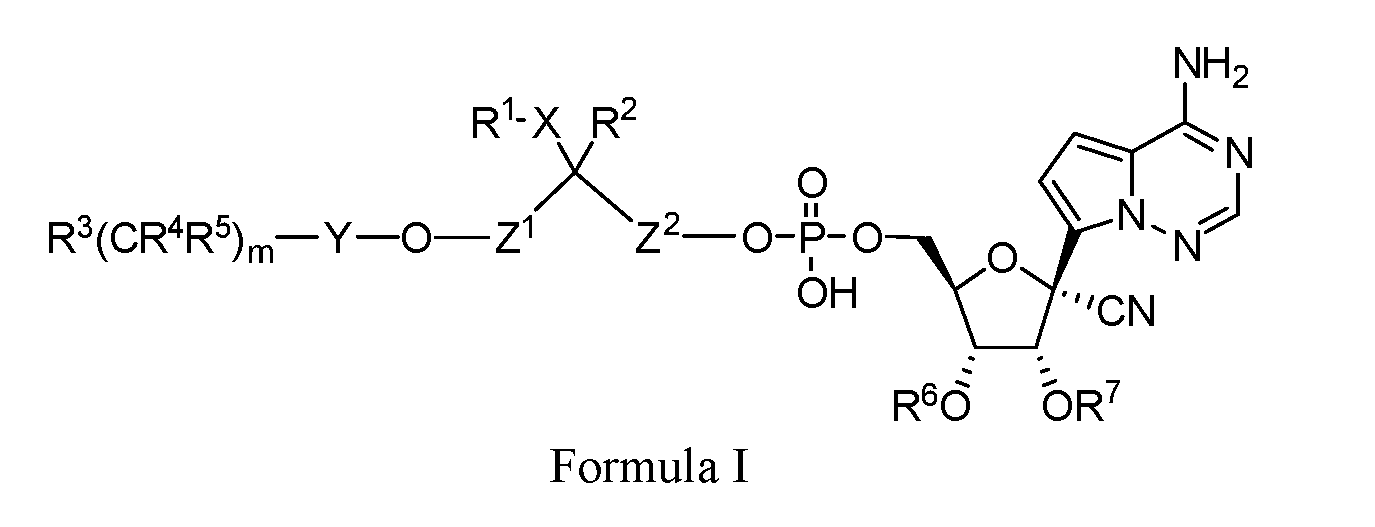 Figure imgf000009_0001