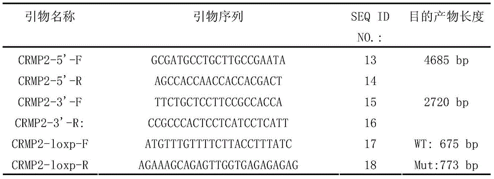 Figure BDA0000383635980000102
