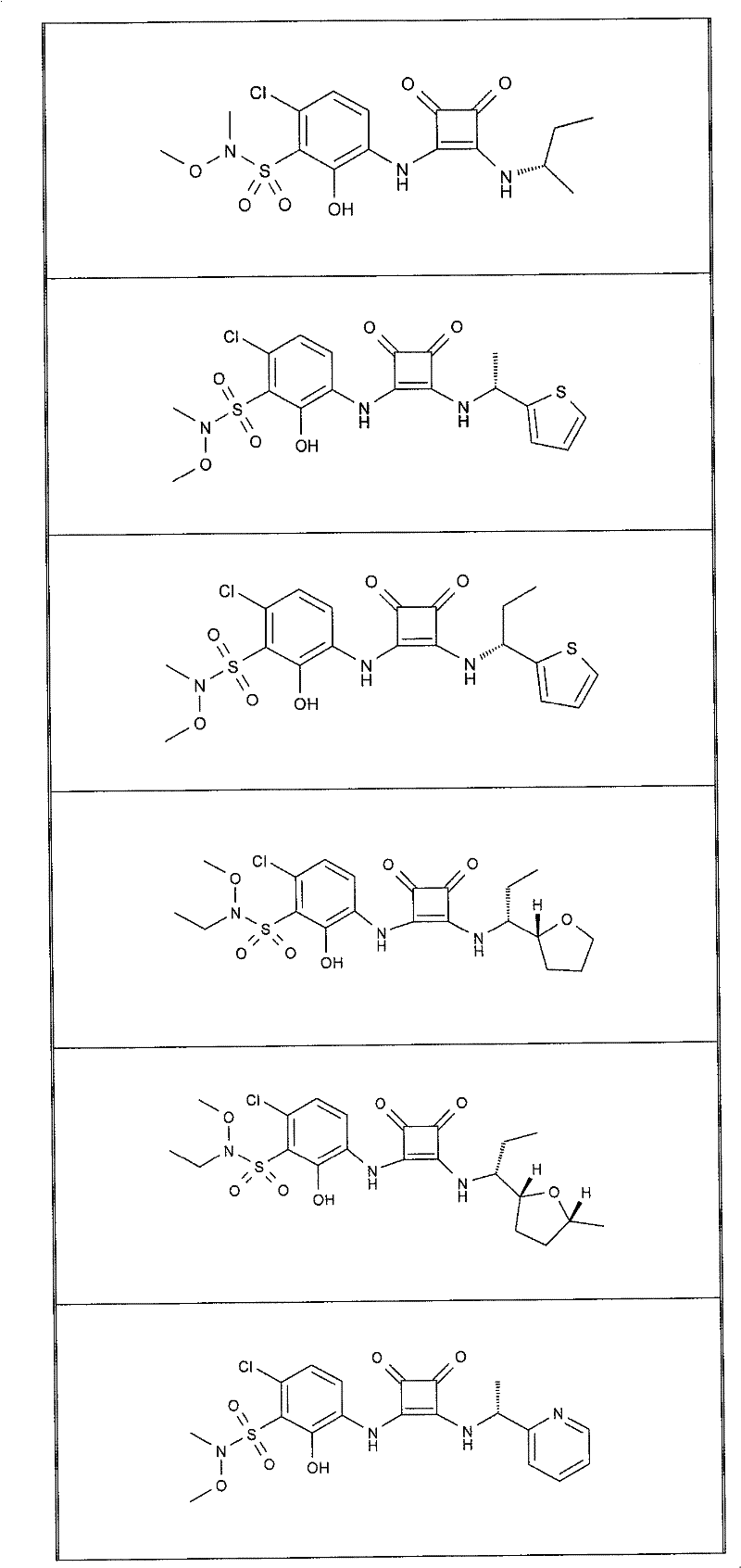 Figure BDA0000053622190000081