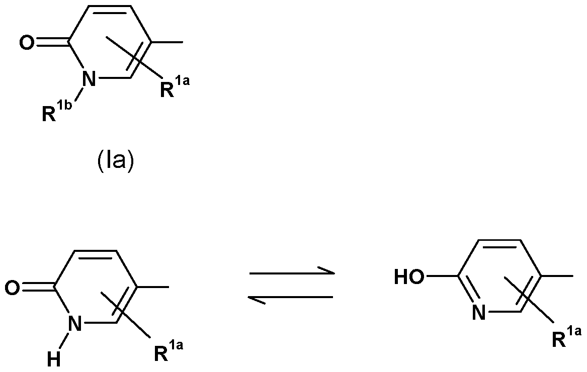 Figure imgf000005_0001
