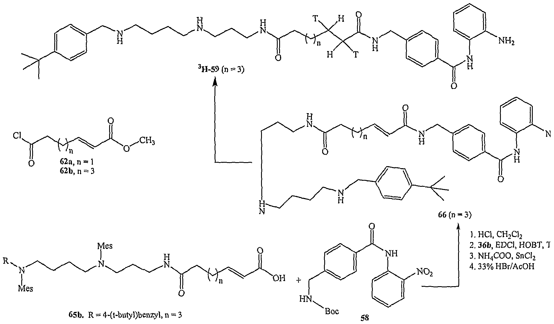 Figure imgf000030_0001