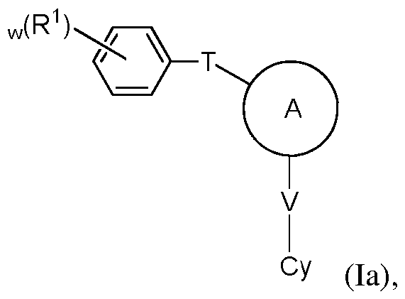 Figure imgf000020_0001