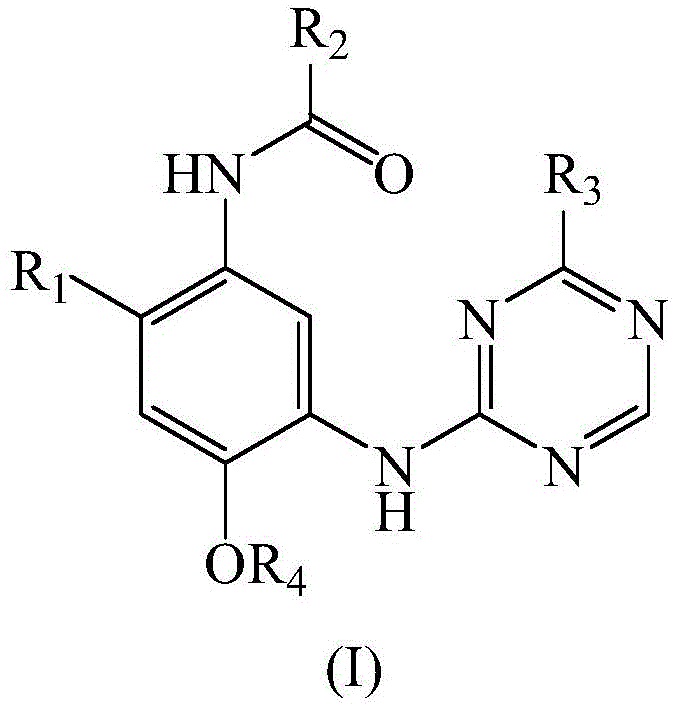 Figure BDA0001294750990000021