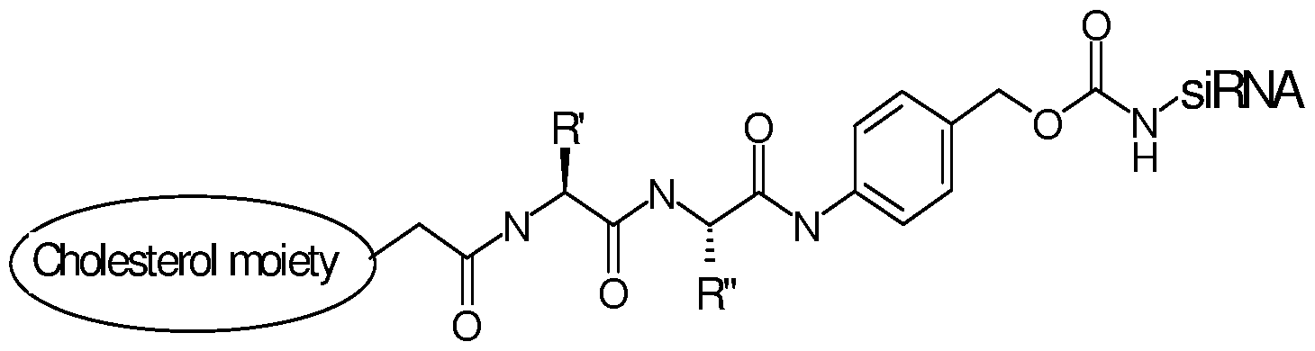 Figure imgf000010_0001