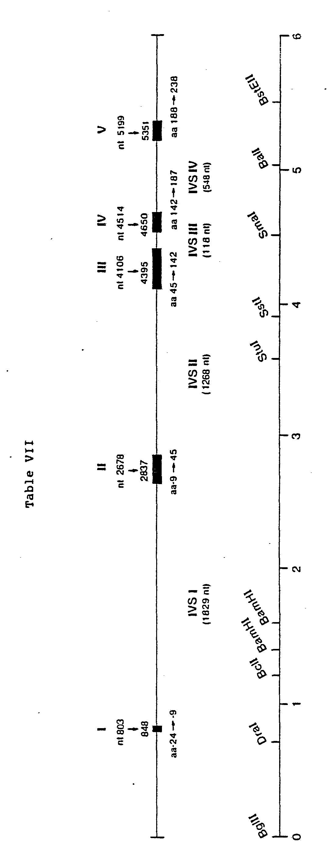 Figure imgf000034_0001