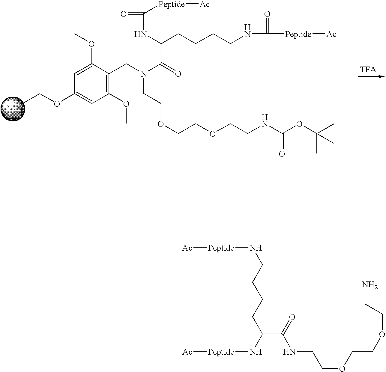 Figure US20060040858A1-20060223-C00053
