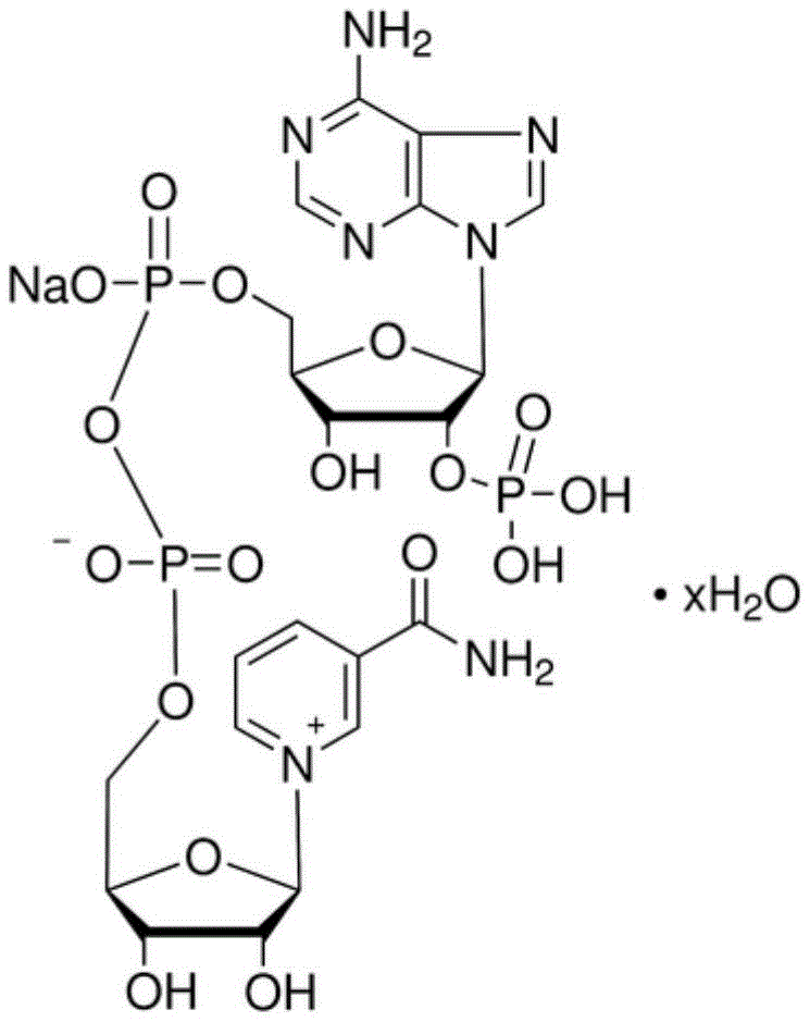 Figure BDA0002373950220000572