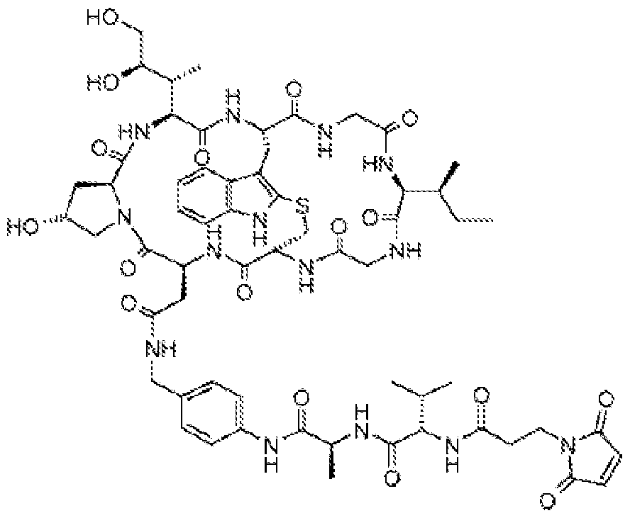 Figure imgf000024_0001